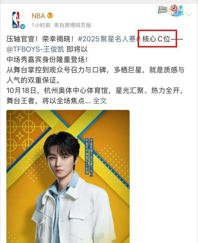 王俊凯任嘉, 网友